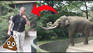 Elephant Flings Poop at Man in Zoo