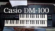 Casio DM-100 review / demo