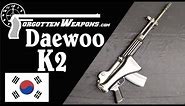 Daewoo K2: The South Korean AK/AR Hybrid