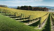 Discover Lehigh Valley, PA