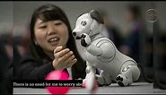 AIBO Robot Dog