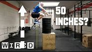 Why It's Almost Impossible to Jump Higher Than 50 Inches | WIRED