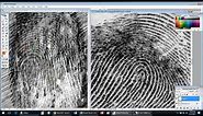 How to Compare Fingerprints - Examples 4-6