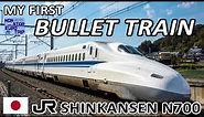 Japan's FAMOUS BULLET TRAIN on the Tokaido Shinkansen / Worth the HYPE?
