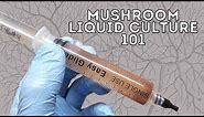 HOW TO MAKE LIQUID CULTURE FOR MUSHROOM GROWING, Vented Lid Jars from Start to Finish