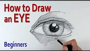 How to Draw a Human Eye (step by step)