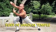 Wu Tang Collection - Fury In Shaolin Temple