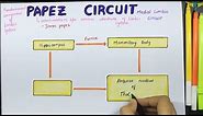 Papez circuit | Medial limbic Circuit | Connections | Function