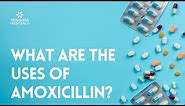 What are the uses of Amoxicillin?