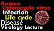 Cytomegalovirus (cmv)