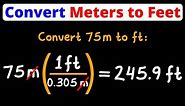 Convert Meters to Feet | m to ft | Unit Conversion | Dimensional Analysis | Eat Pi