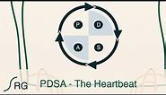 PDSA - The Heartbeat