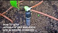 How to Setup Drip Irrigation with In-Ground Sprinklers