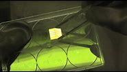 Constructing a perovskite solar cell
