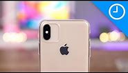 iPhone 11 cases hands-on!