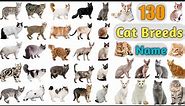 Cat Breeds Vocabulary ll 130 Cat Breeds Names In English With Pictures ll 100 Popular Cats