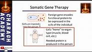 Somatic Gene Therapy - an overview