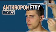 Anthropometry Basics for 3d Artists