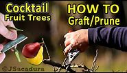 Grafting Fruit Trees | FRUIT SALAD or COCKTAIL Fruit Trees - How to graft and prune them