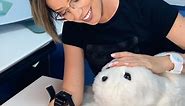 Cuddling Robot Baby Seal Paro Proven to Make Life Less Painful