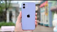 Iphone 12 Purple vs Iphone 11 Purple - Which To Buy?