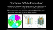The GABAa Receptor & Positive Allosteric Modulation