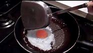 Fried Seagull Eggs For Dinner!
