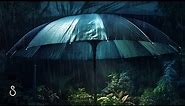 Rain Drops On Sunshade Umbrella💧Black Screen | 12 Hours | Sleep In Series