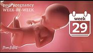 29 Weeks Pregnant - Natural Pregnancy Week-By-Week