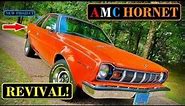 Introducing My 1976 AMC Hornet - Original 304 V8 Car Revival!