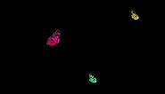 🦋 Flying Butterflies Overlay. Butterfly Animation. 🦋