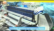 Automatic Battery PACK Assembly Line for lithium-ion prismatic module and pack 12PPM