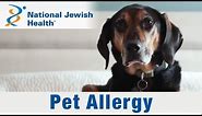 Pet Allergies: Understanding Symptoms and Effective Strategies for Living with Your Furry Friends