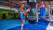 New-in Muay Thai Shorts & Gloves | YOKKAO SMASH Collection