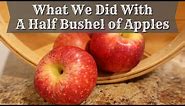 What We Did With A Half Bushel Of Apples | Making Apple Butter | Making Apple Jelly From The Peels