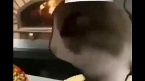 Cat Making Pizza to Pizzaria Song