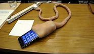 Umbilical Cord iPhone Charger: Cool or Gross?