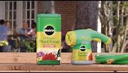 How to Use Miracle-Gro® All Purpose Water Soluble Plant Food