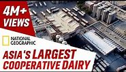 Inside Asia's Largest Cooperative Dairy by National Geographic | Banas Dairy