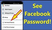 How to See Your Facebook Password if You Forgot it!! - Howtosolveit