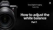 Sony | How To's | How to use adjust the white balance for Sony Alpha cameras | Part 1