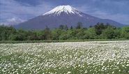 FANUC & Mt. Fuji in Japan