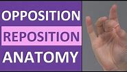 Opposition, Reposition Thumb Movement (Flexion, Abduction) | Anatomy Body Movement Terms