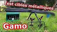 TEST cibles métalliques GAMO vs 4.5mm et 5.5mm 20 joules