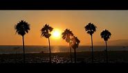 iPhone 8 Plus 4K Cinematic Video Footage (camera test in Los Angeles)