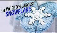 The World's Largest Snowflake on Record: A Fascinating Natural Wonder