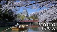 HYOGO JAPAN in 8K [Winter Spring] - 兵庫