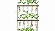 XXXFLOWER Wall Hanging Propagation Station with 15 Glass Tubes Air Planter Terrarium