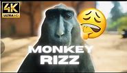Rizz Monkey [4k 60FPS]
