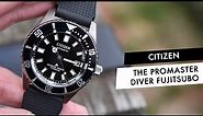 REVIEW: The Cool & Accessible Citizen Promaster Mechanical Diver 200m "Fujitsubo" NB6021